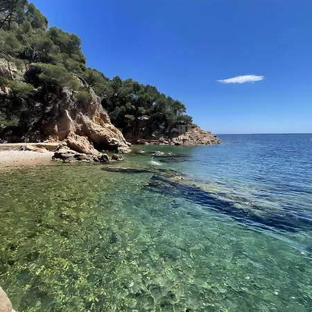 T1- Family Getaway 50m From The Daire *